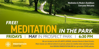 Free Meditations in the Park