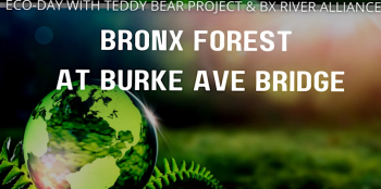 Fall Eco-day at Bronx Forest