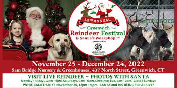Greenwich Reindeer Festival &&nbsp;Santa`s Workshop presented by&nbsp;Jenny Allen