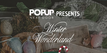 Winter Wonderland — Holiday Extravaganza Pop Up Shop