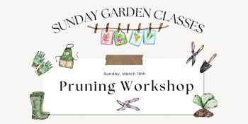 Garden Pruning Workshop