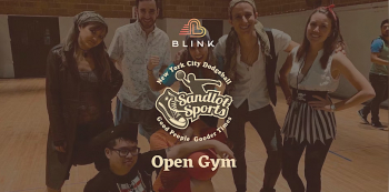 Must Love Pick Up Games — Open Gym with Sandlot Social