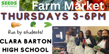 Farm Market — Crown Heights Farm Stand Thursdays