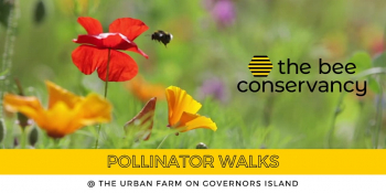 Pollinator Walk On Governors Island
