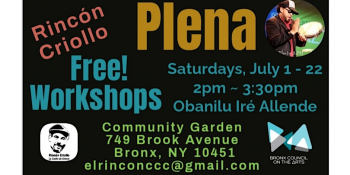 Plena Workshops — Free & Beginner friendly