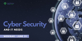 Cyber Security and IT Needs Webinar