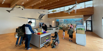 Walk-In Building Tours and Touch Tank