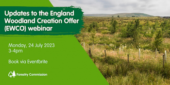 Webinar “Updates to the England Woodland Creation Offer (EWCO)”