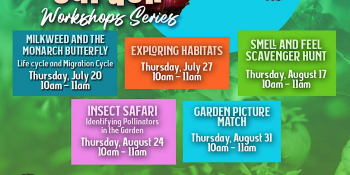 Pollinator Garden Workshops Series
