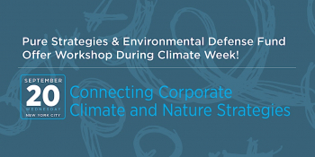 Climate Week Workshop: Connecting Corporate Climate and Nature Strategies