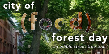 City of (Food) Forest Day: an edible street tree tour