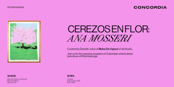 Opening reception of Cerezos en Flor: iPad Drawings by Ana Mosseri