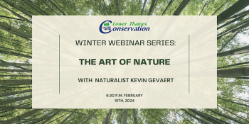 Winter Webinar Series “The Art of Nature”