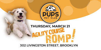 Doggie Agility Course & Romp