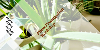 Plant Propagation Workshop