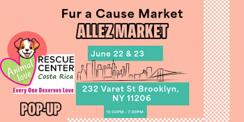 Market bazaar to&nbsp;help animals in&nbsp;need