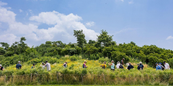 Governors Island Nature Walk