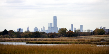 City of&nbsp;Water Day: Marine Park Ecology Tour