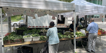 HHFM Mt. Eden Market