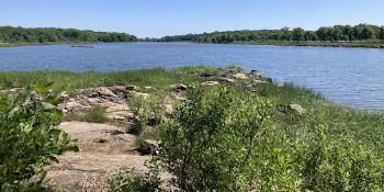 City of&nbsp;Water Day: Pelham Bay Park Siwanoy Trail Ecology Tour