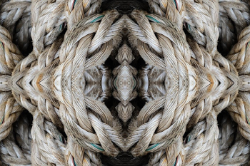 Opening reception &ldquo;Sea Change&rdquo; by&nbsp;Kathleen Holloway