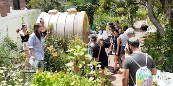 Medicinal Garden Workshop