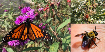 Girl Scouts Love State Parks 2024: Bug Bonanza Tour