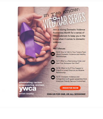 Domestic Violence Webinar Series