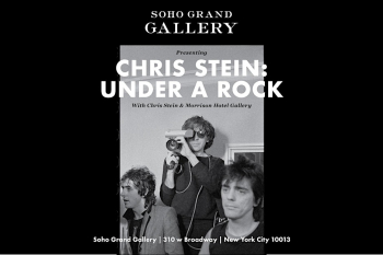 Chris Stein: Under A&nbsp;Rock Photo Exhibit