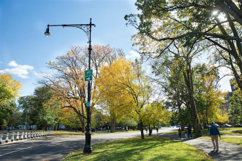Free Fitness Walks in&nbsp;Prospect Park for Adults Ages&nbsp;60+