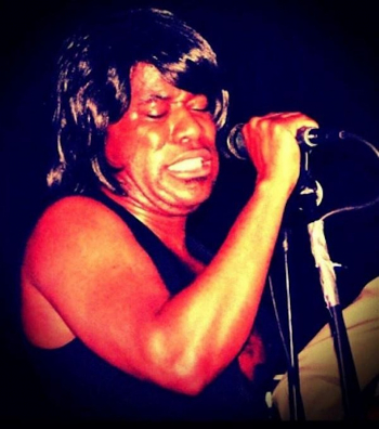 Lloyd Diamond&rsquo;s James Brown Soul Revue