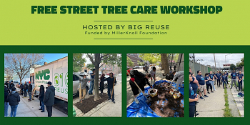 Street Tree Care Workshop