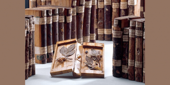 In-Person Lecture: Robert McCracken Peck on&nbsp;Botanically Illustrated Books