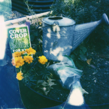 Workshop &ldquo;Winterizing The Queer Ecologies Garden&rdquo;