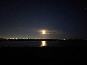 Night Hike