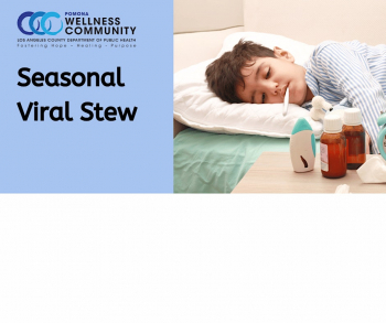 Webinar &ldquo;Seasonal Viral Stew&rdquo;