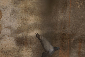 Exhibition &ldquo;Inner and Outer Transformations: The Climate Crisis&rdquo; By&nbsp;Olive Toran