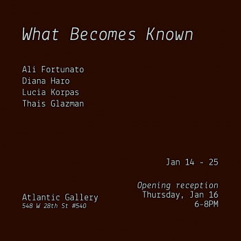 Opening reception &ldquo;What Becomes Known&rdquo;