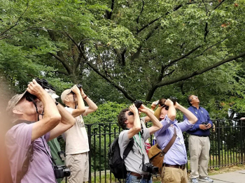 Guided Birding and Nature Walk