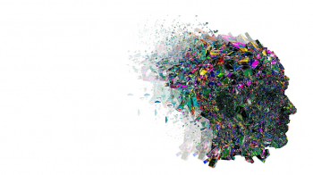 Mind, Brain, and Society: Presidential Scholars in&nbsp;Conversation
