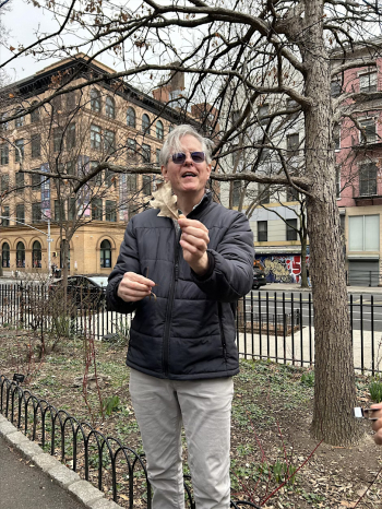 Spring Tree ID&nbsp;Walk