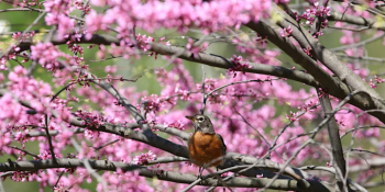 Outdoor Afro Community Birding Tour&nbsp;&mdash; Fallkill Trail
