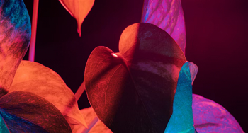 Radiance Webinar to&nbsp;Stop the Stress Spiral and Recharge your Cells