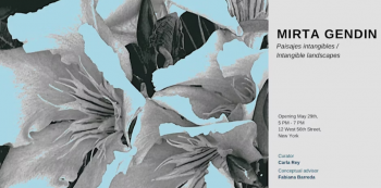 Exhibition &ldquo;Intangible Landscapes&rdquo; by&nbsp;Mirta Gendin