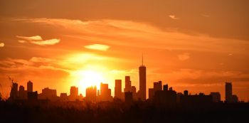 Black Birders Week: Sunset Birding with NYC Bird Alliance