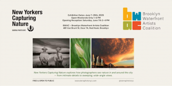 Photo Exhibition &ldquo;New Yorkers Capturing Nature&rdquo;