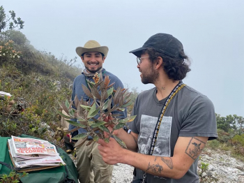 Torrey Talk &ldquo;The Evolution of&nbsp;Separate Sexes (Dioecy) in&nbsp;Andean Miconia&rdquo;