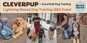 Lightning Round Dog Training Q&A with Anna Tank at&nbsp;Boris &&nbsp;Horton