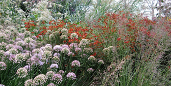 Garden Workshop: Flower Arrangements