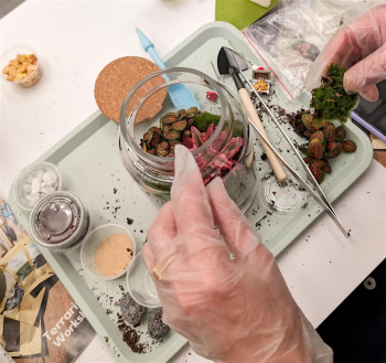 Summer Terrarium Workshop T-Building